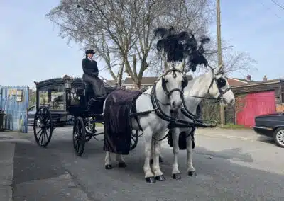 Horse drawn funeral carriage by Walkers Funeral Service in Wigan and St Helens